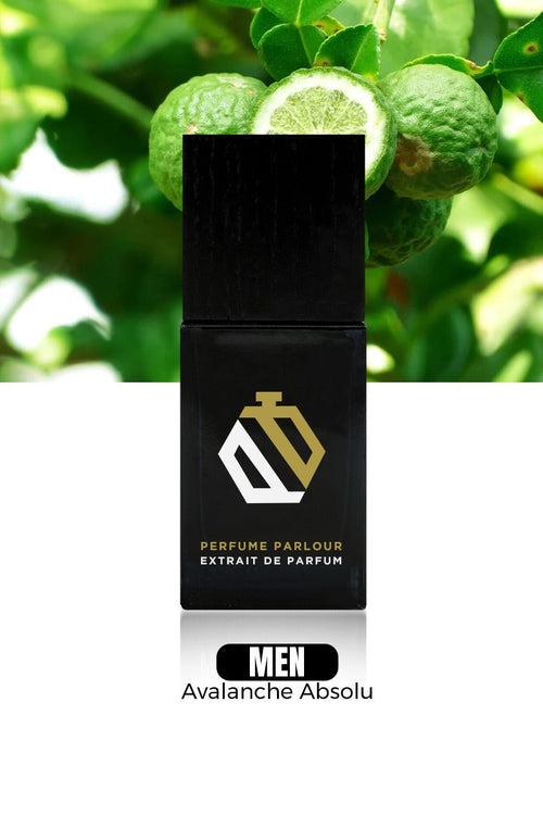 Avalanche Absolu For Men - 0392